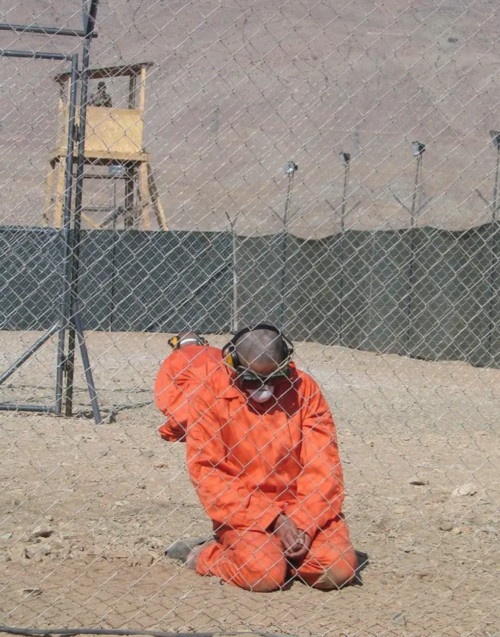 从虐待动物到虐待人，背后有着共同的心理基础