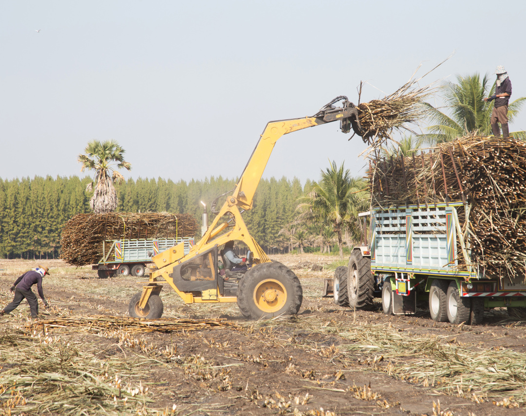 农村烧秸秆为何屡禁不止？ |　地球知识局