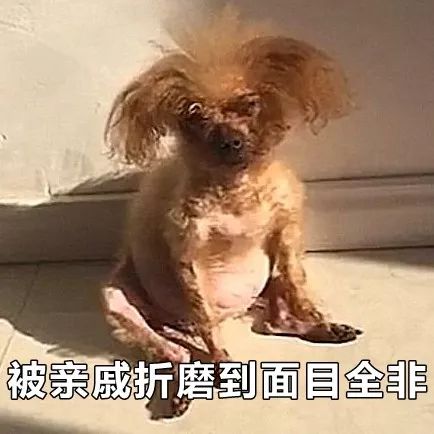 亲戚总爱问毕业工作谈恋爱了没？是不是故意恶心人