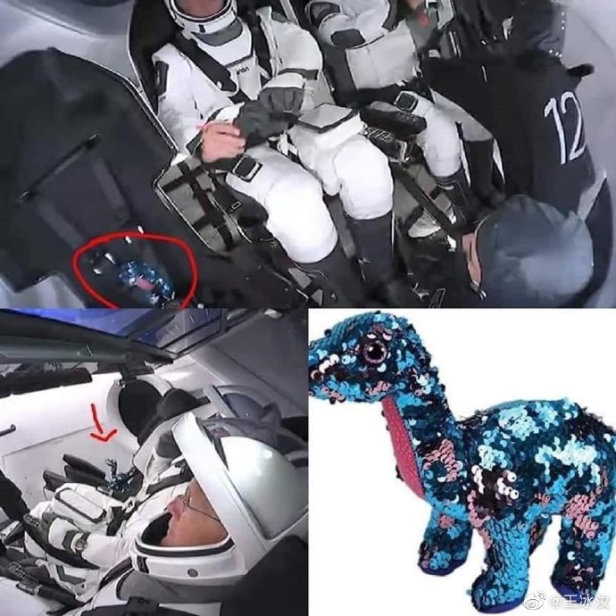 【spacex龙宇航员带了一个小恐龙 是他女儿送的】2020_凤凰网其他