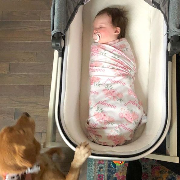 那天夜里，她闯进了陌生人的家……