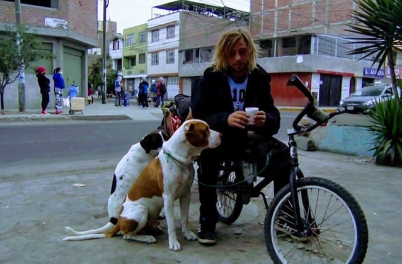 为了带两只流浪狗回国,男子拒绝大使馆专机,骑自行车辗转40天