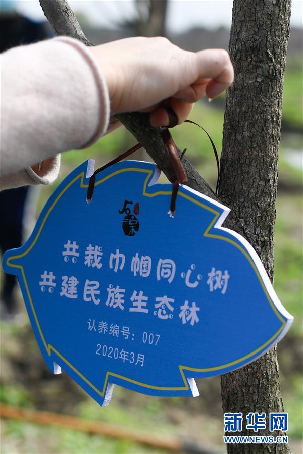 浙江湖州:志愿植树 挂牌管护