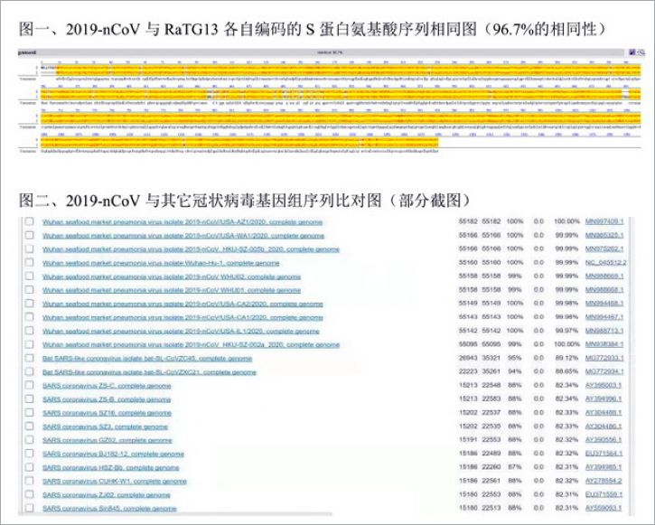 造一个病毒有多难｜大象公会
