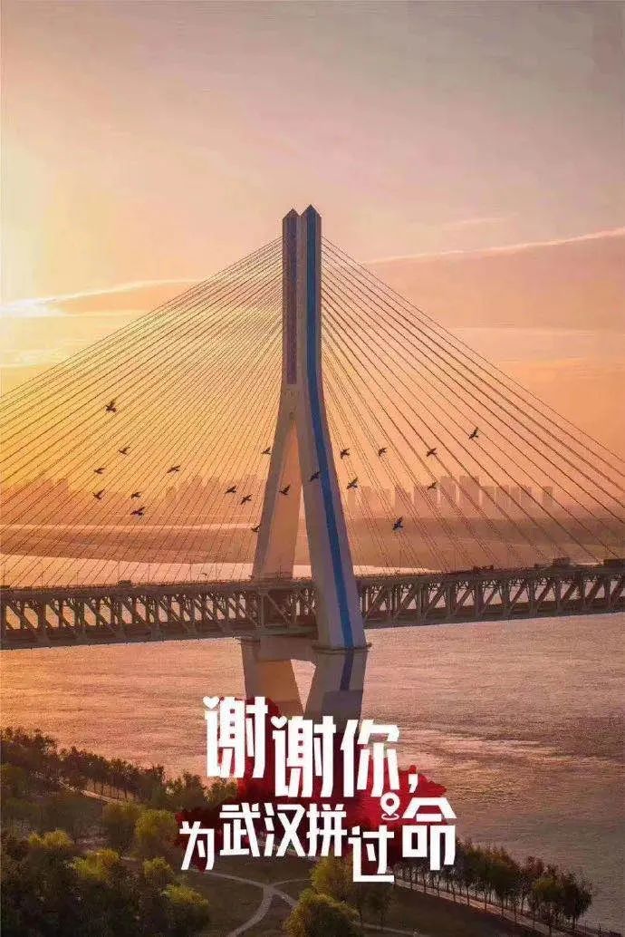 武汉"解封"!一张照片看哭