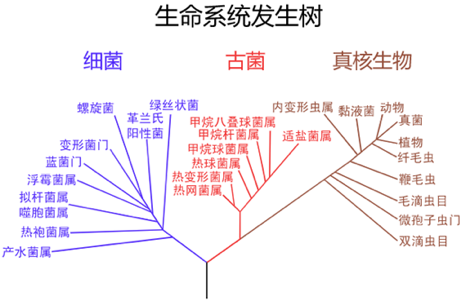 演化还是灭绝：第六次生物大灭绝开始了？