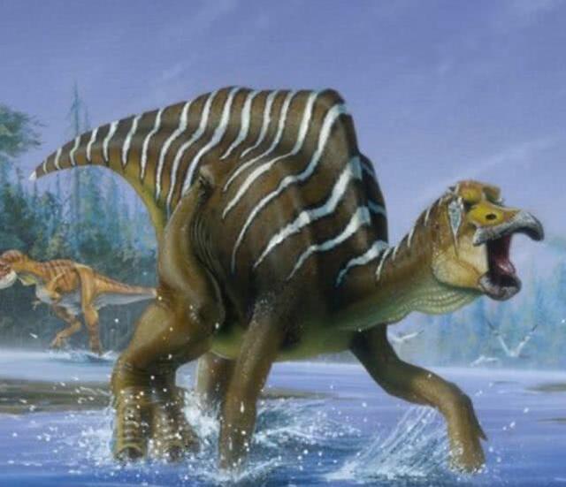 东北历史长春有座恐龙博物馆最大个的鸭嘴龙来自哪