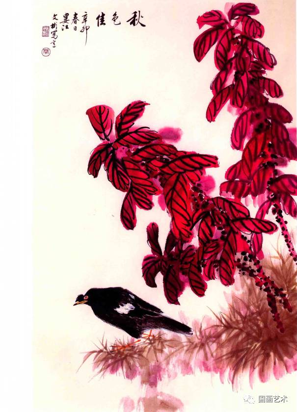 11.寿带鸟