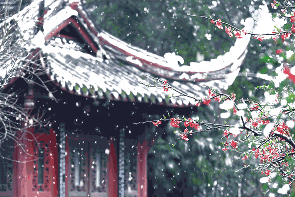 "今日崇州",下雪了