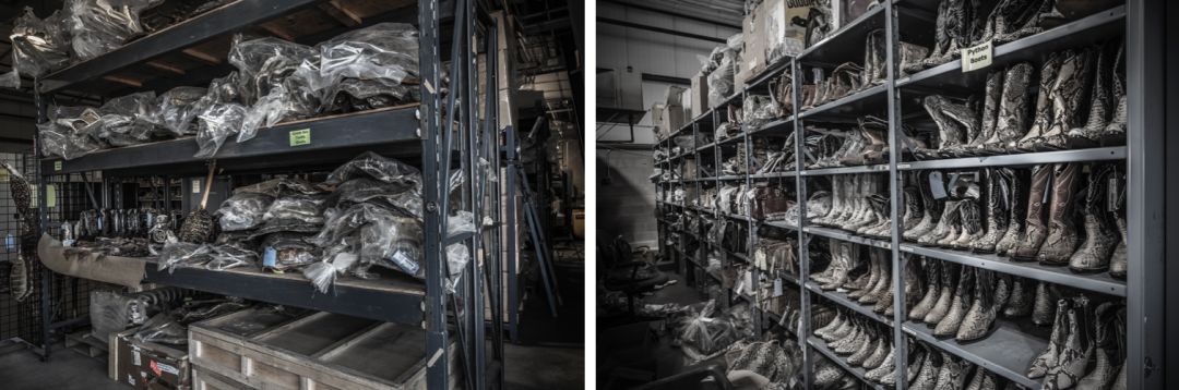 那些因人类的迷信娱乐贪婪，给野生动物带来的苦难