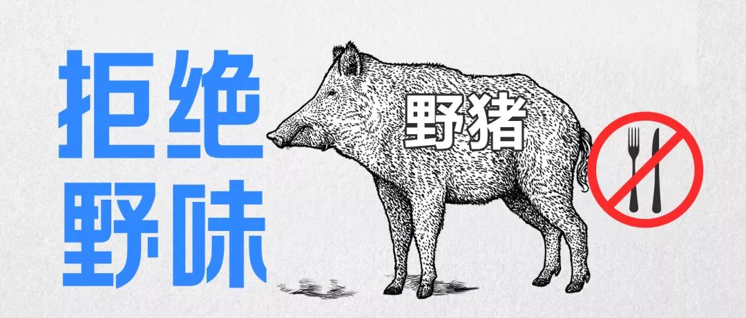 全网最热搜的7种“野味”，请别再祸害它们了