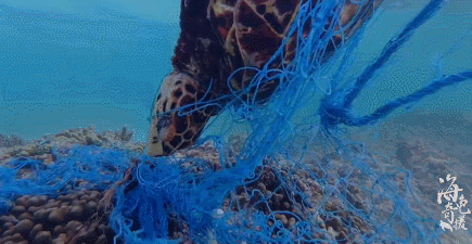 435_225gif 动态图 动图