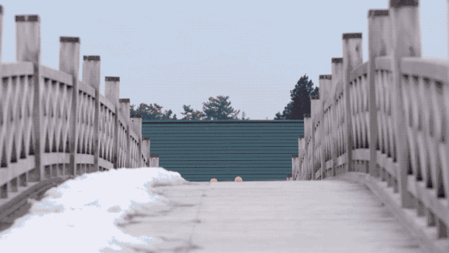 恶搞香菜徒手推楼海里熨衣有人能管管这帮野老外吗