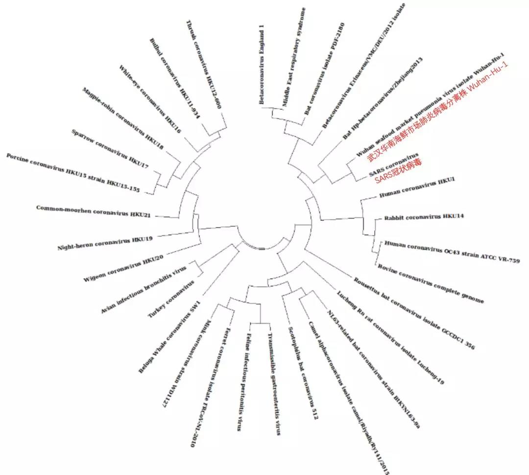 新冠病毒包含艾滋病毒序列？是科学家蓄意改造的吗