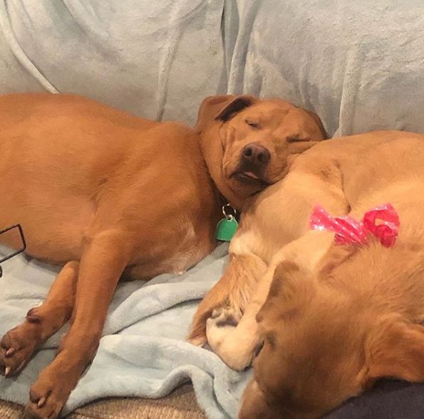 那天夜里，她闯进了陌生人的家……