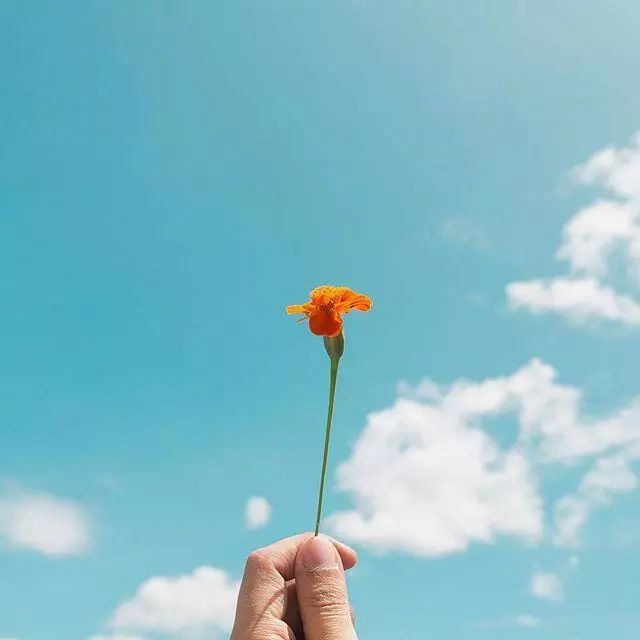 发朋友圈的可爱小句子,简短精湛,深得人心