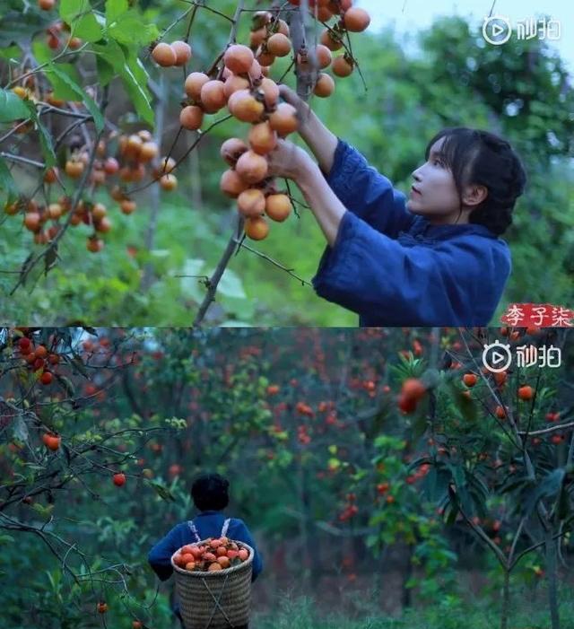 有个李子柒同款的菜园子,还要什么花园?