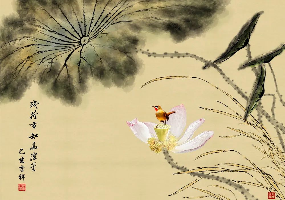 津门网郑庆祥老师《荷香古韵》专题画意摄影作品欣赏