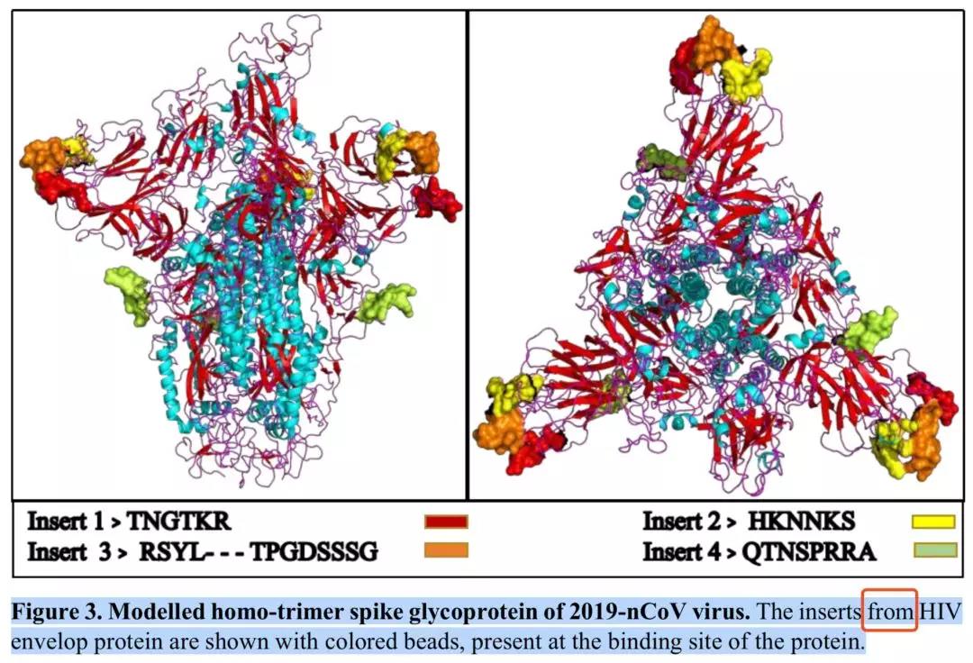 新冠病毒包含艾滋病毒序列？是科学家蓄意改造的吗