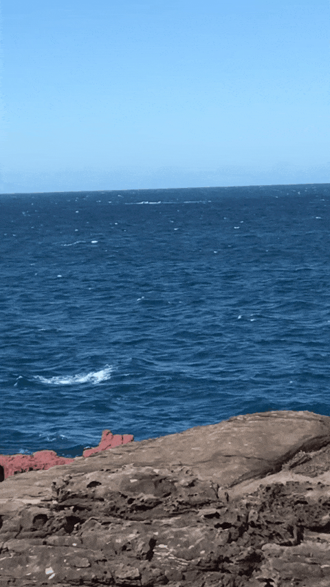 480_853 竖版 竖屏