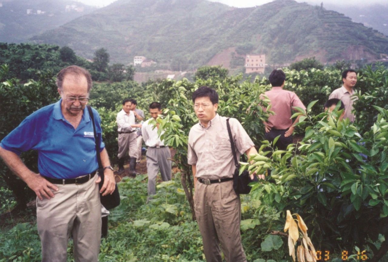 出社会以后-挂机方案穿越疫情的救济：8万斤脐橙出湖北记挂机论坛(5)