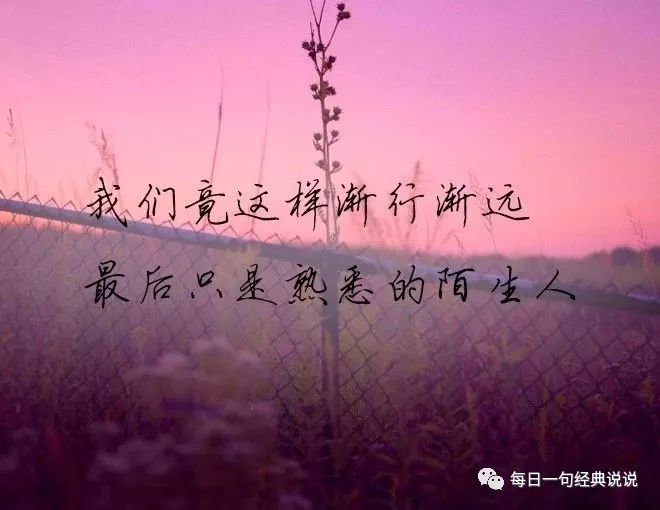 句子虽短,却很伤感