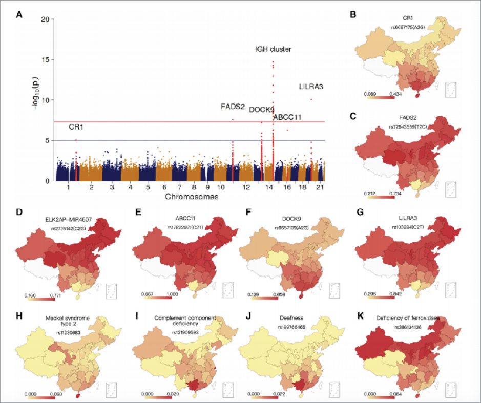 造一个病毒有多难｜大象公会