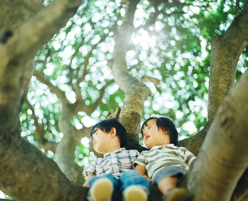 6位摄影师带你窥见6种不一样的日本