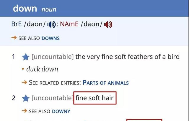 没想到“羽绒服”竟叫down coat！为啥有个down