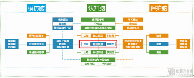 ai如何助力脑科学产业化