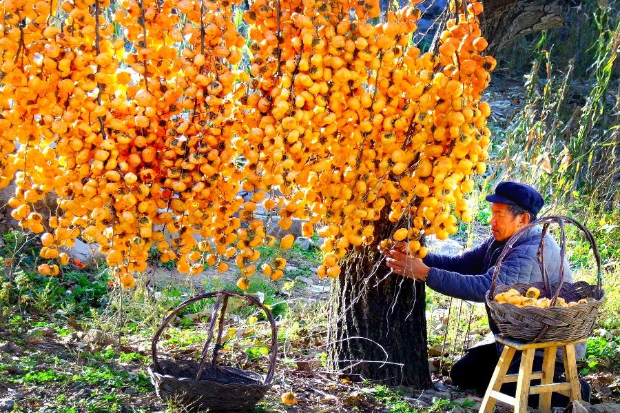 今日立秋|秋社要祭拜土地神,因为这可爱老头对古代中国非常重要