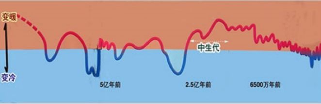 演化还是灭绝：第六次生物大灭绝开始了？