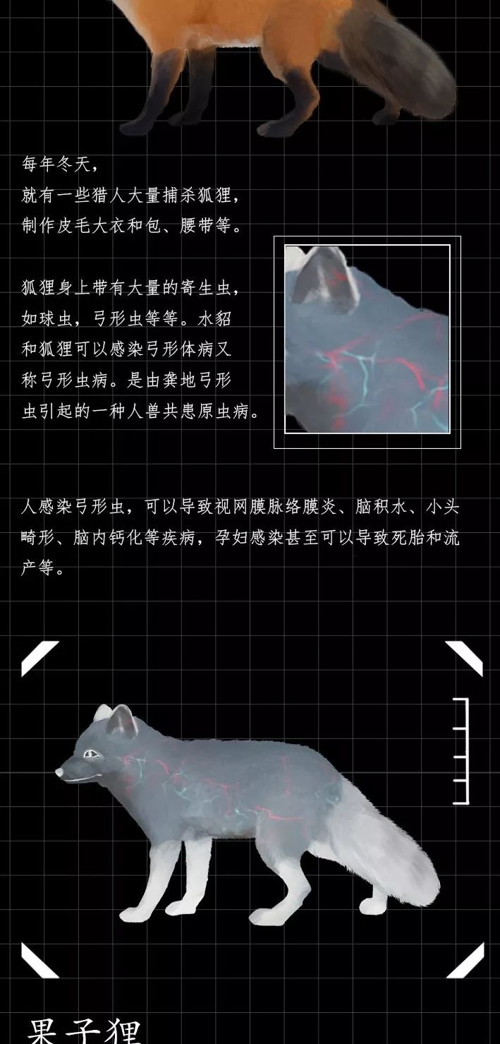 隐藏的「病毒携带者」曝光（赶紧举报）