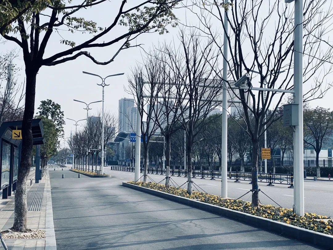 逆行四十日，香港摄记的武汉故事