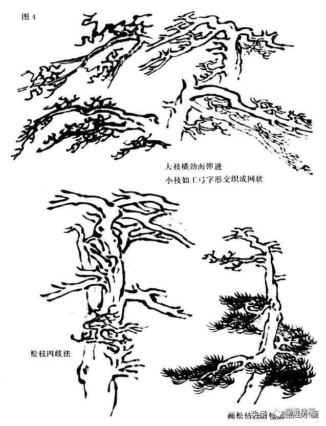 水墨画松的步骤为:先以墨笔勾画出枝干与其间的节窟,顺势勾画松根,紧