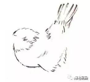 黑头紫沉香 文鸟科,全长约10.