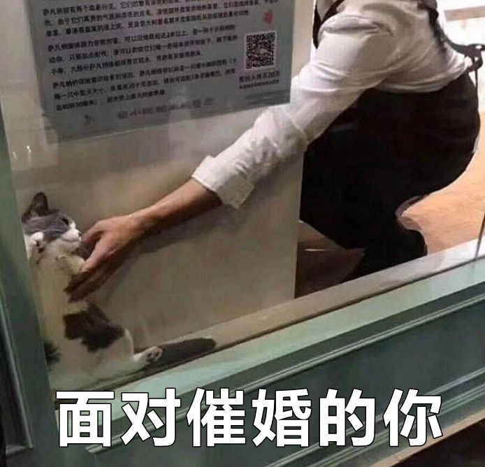 亲戚总爱问毕业工作谈恋爱了没？是不是故意恶心人