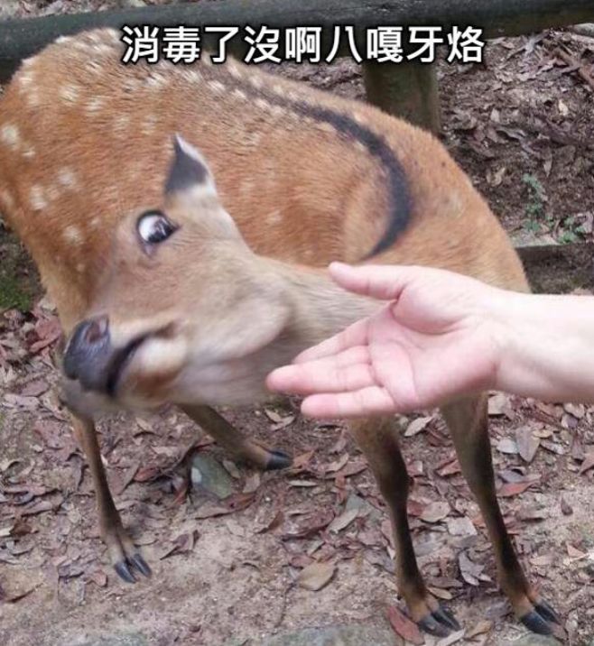 911武汉疫情为啥总有人相信是美国人的惊天大阴谋