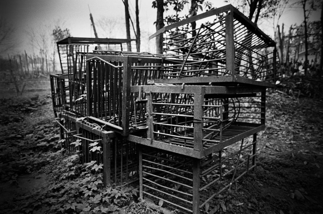 那些因人类的迷信娱乐贪婪，给野生动物带来的苦难