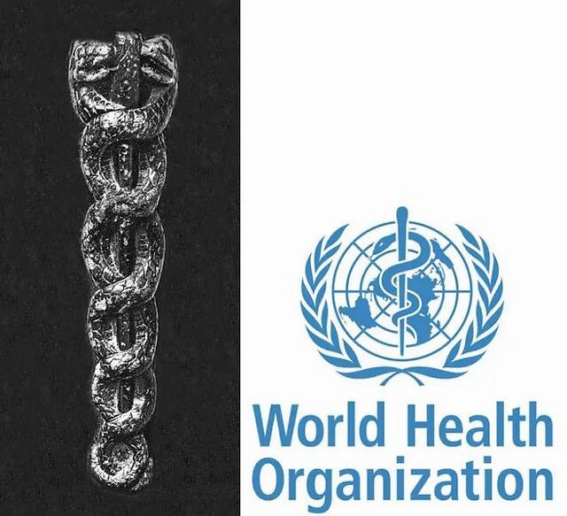 世界人民都有自己的中医|大象公会