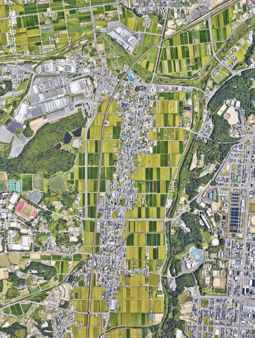 日本，搞过土改么 | 地球知识局