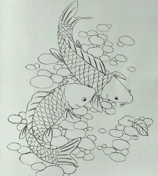 白描鱼画选页