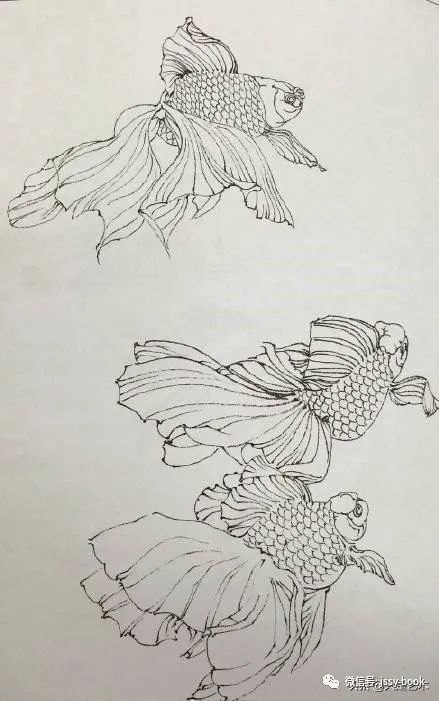 白描鱼画选页