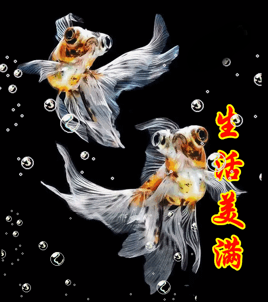 今天收下,百条金鱼 好事连连,寿与天齐 招财进宝,春风得意 生活幸福