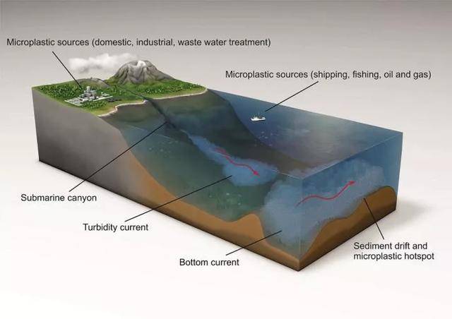 塑料 海底 海洋 洋流 深海 沉积物 纤维 微塑料 生态系统 热点