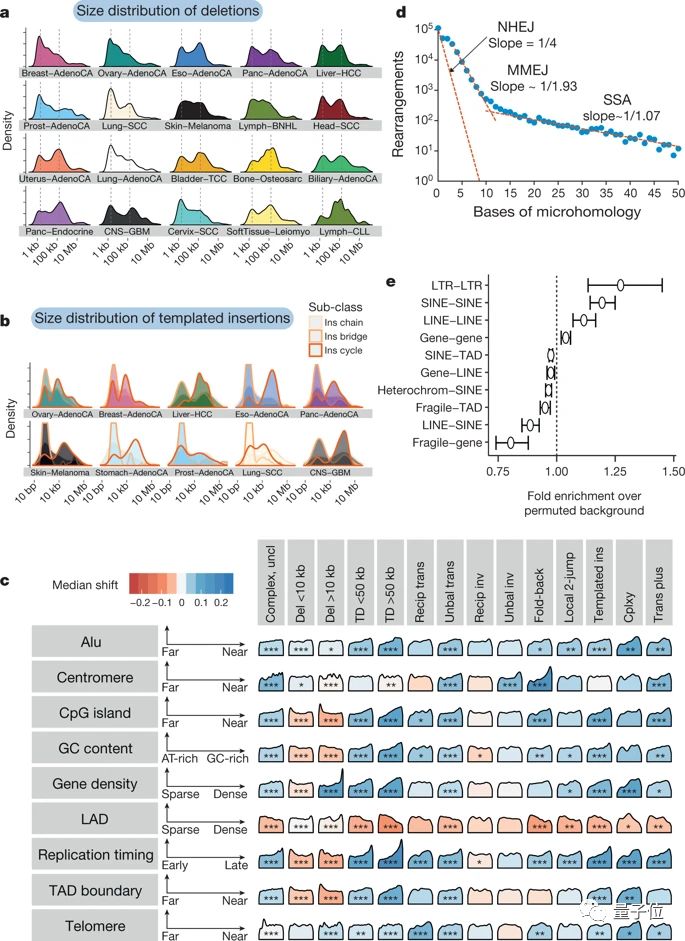 patterns of somatic structural variation in human cancer genomes