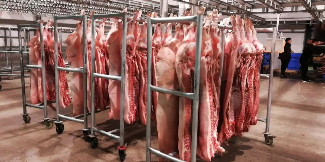 猪肉18元/斤起!贵农肉类交易市场日均供应白条猪高达500头