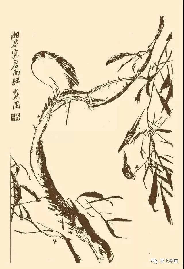 书画联盟丨《芥子园画谱》中的千姿百态的小鸟