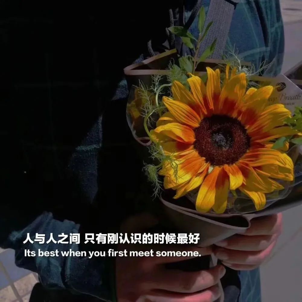 抖音超火朋友圈背景图 | 有心争似无心好,多情却被无情恼