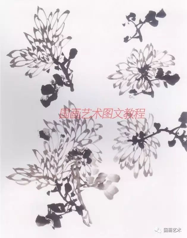 书画联盟丨一学就会画写意菊花